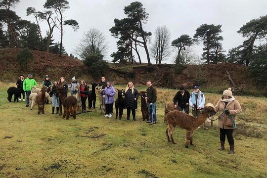 Tour image 2