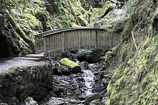 Tour image 12